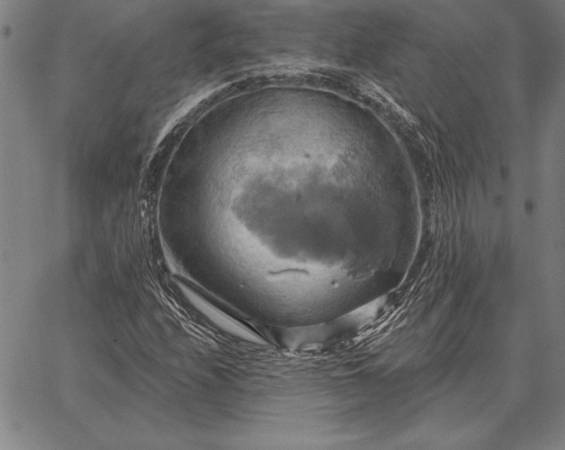 X0000067351208200604131742