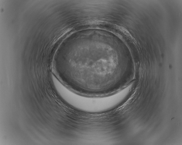 X0000067351209200604131742