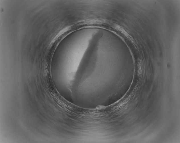 X0000067351213200604131742