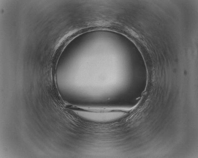 X0000067351214200604131742