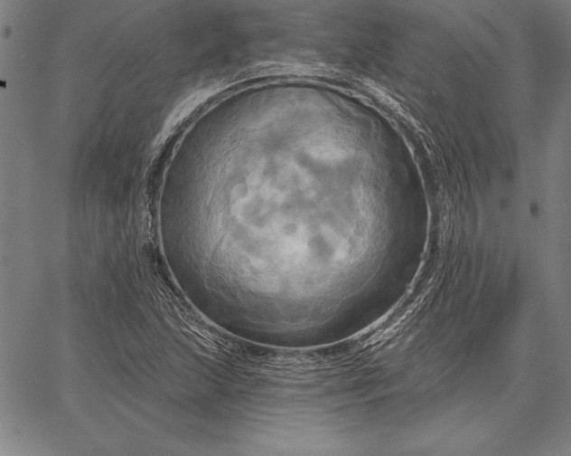 X0000067351215200604131742