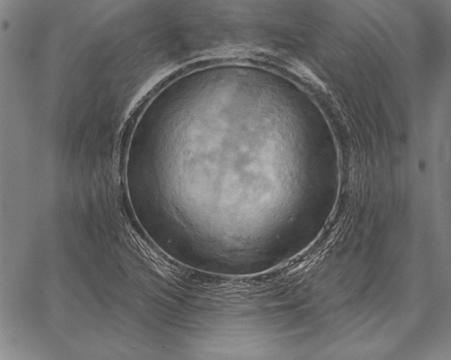 X0000067351216200604131742