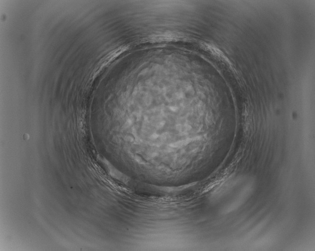 X0000067351217200604131742