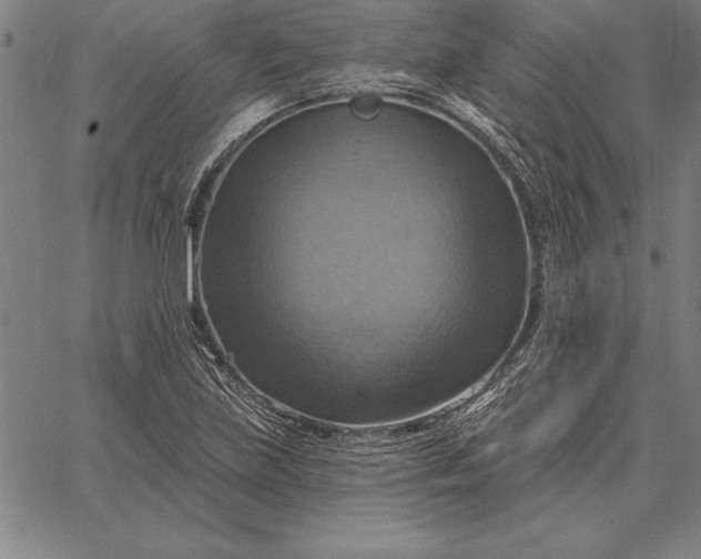 X0000067351219200604131742