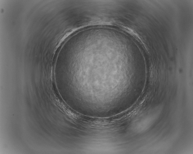 X0000067351220200604131742