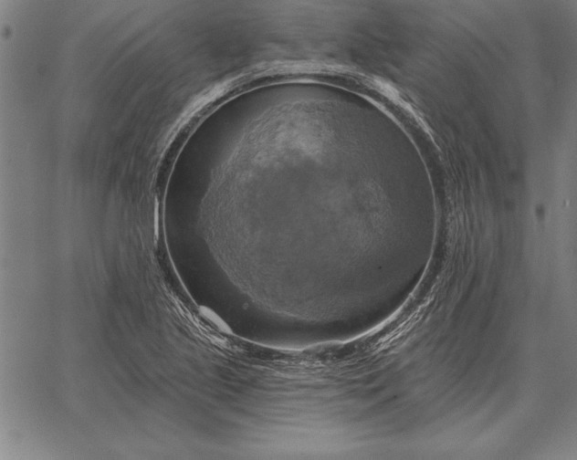 X0000067351221200604131742