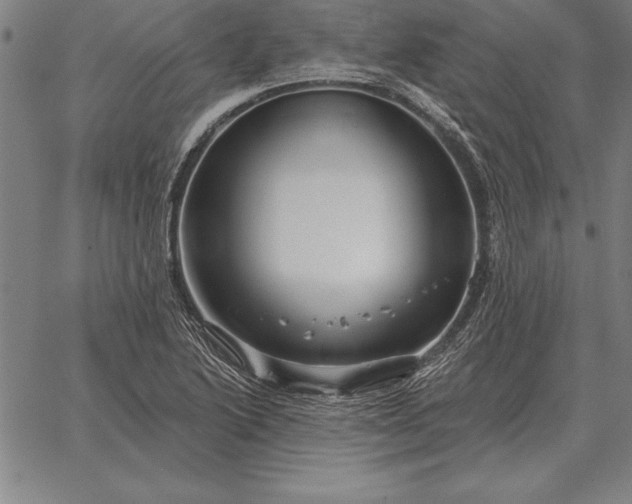 X0000067351222200604131742