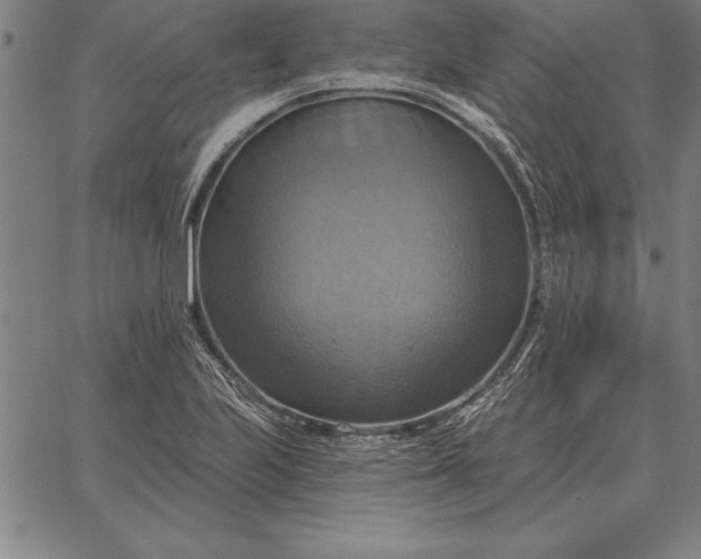 X0000067351223200604131742