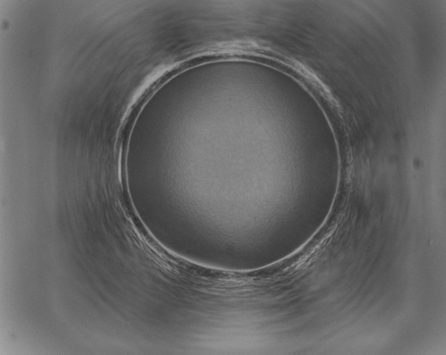 X0000067351224200604131742