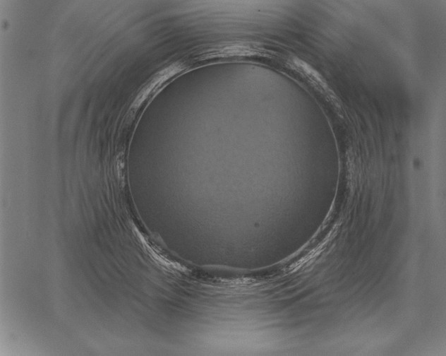 X0000067351225200604131742