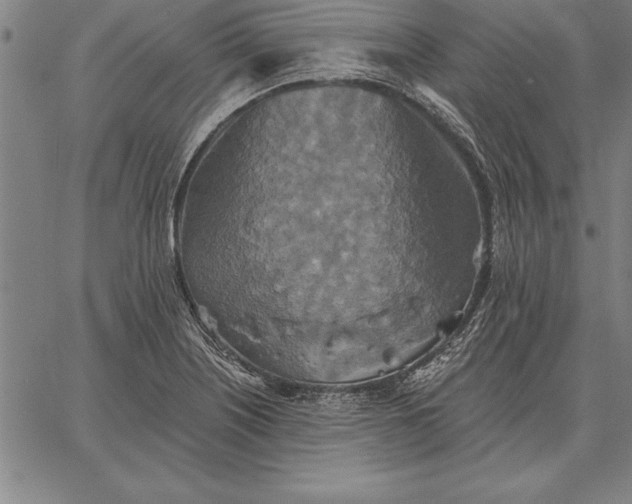 X0000067351226200604131742