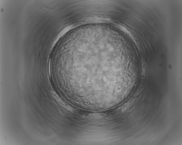 X0000067351227200604131742