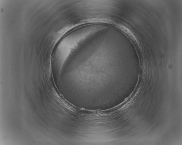 X0000067351228200604131742