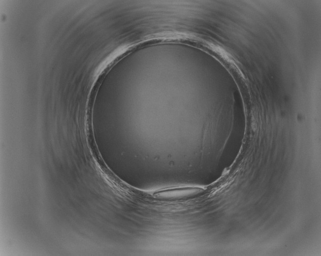 X0000067351229200604131742