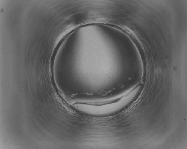 X0000067351230200604131742