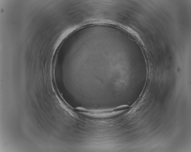 X0000067351231200604131742