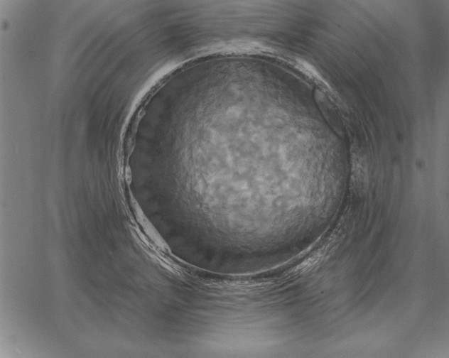 X0000067351232200604131742