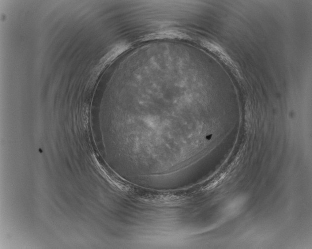 X0000067351233200604131742