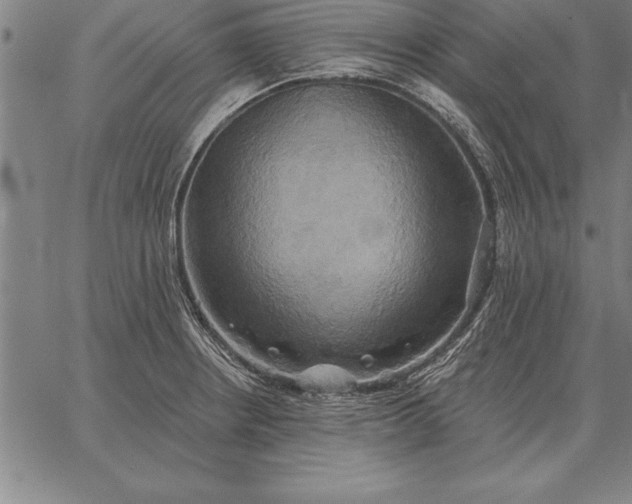 X0000067351234200604131742