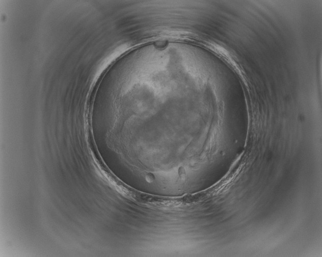 X0000067351235200604131742