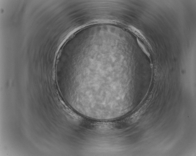 X0000067351236200604131742