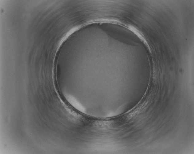 X0000067351237200604131742