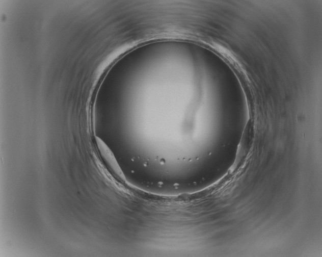 X0000067351238200604131742