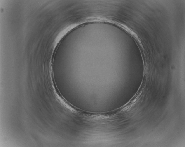 X0000067351239200604131742