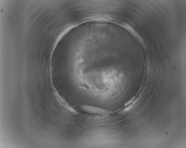 X0000067351240200604131743