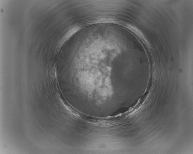 X0000067351241200604131743