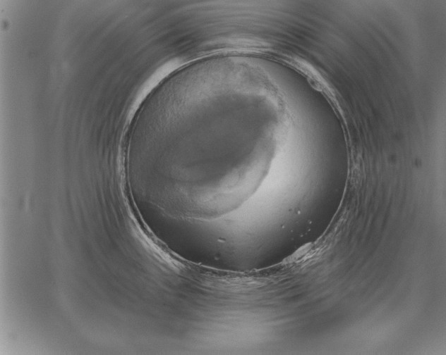 X0000067351243200604131743