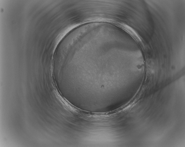 X0000067351244200604131743