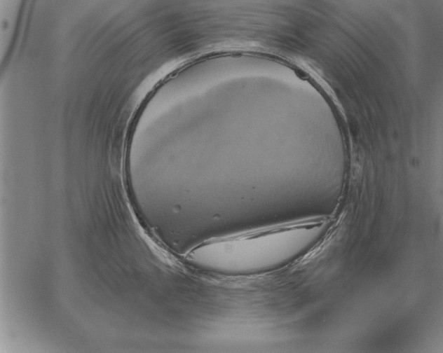 X0000067351245200604131743