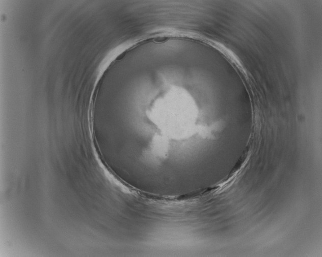 X0000067351247200604131743