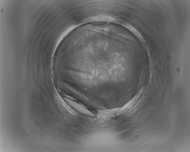 X0000067351248200604131743