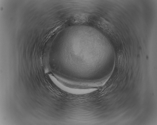 X0000067351250200604131742