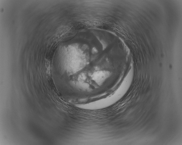 X0000067351251200604131742