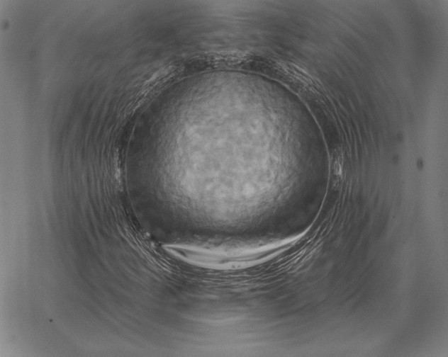 X0000067351252200604131742