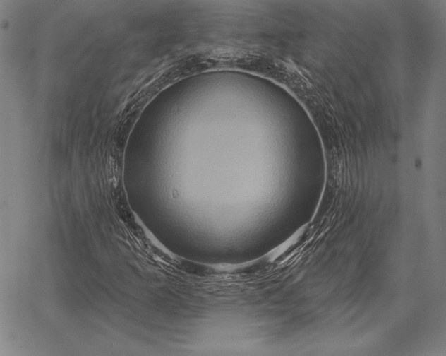 X0000067351253200604131742