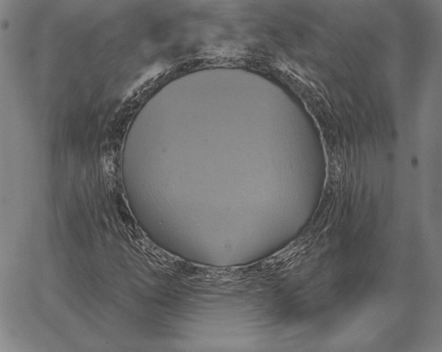 X0000067351254200604131742