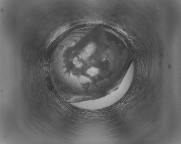 X0000067351255200604131742