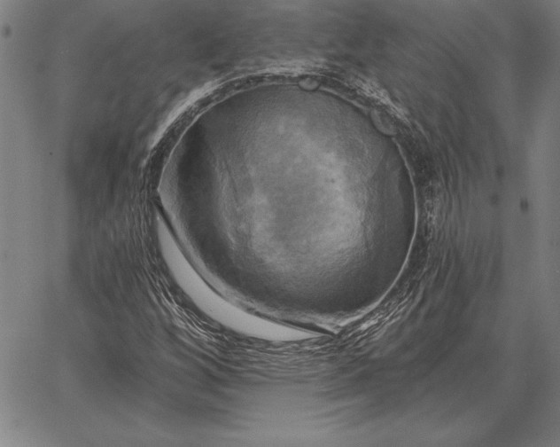 X0000067351256200604131742