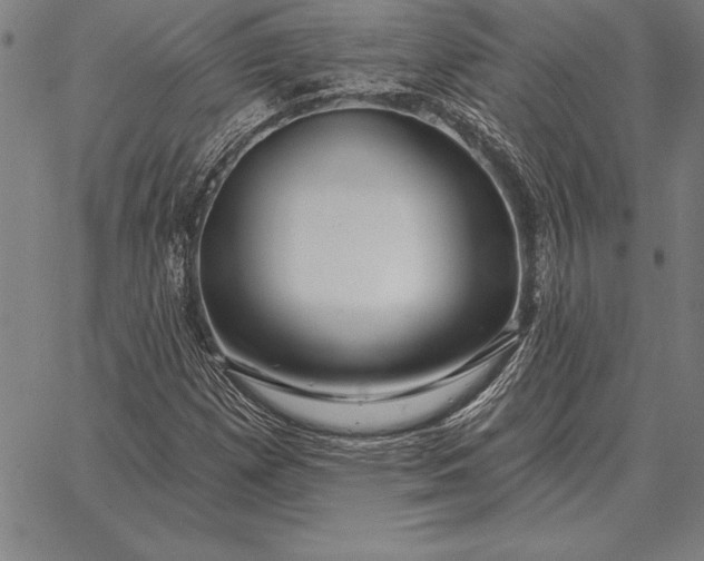 X0000067351257200604131742