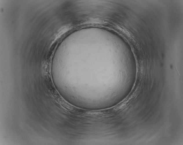 X0000067351258200604131742