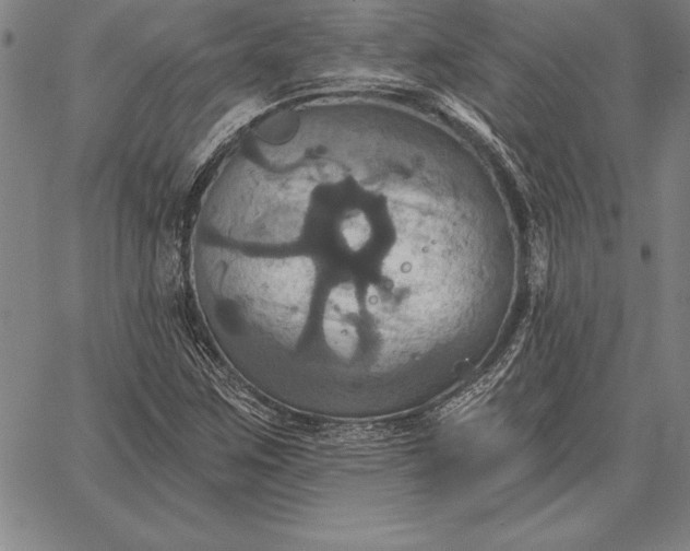 X0000067351259200604131742