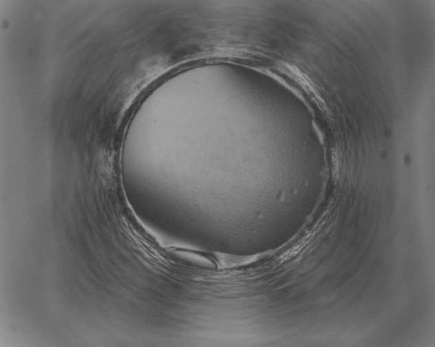 X0000067351260200604131742