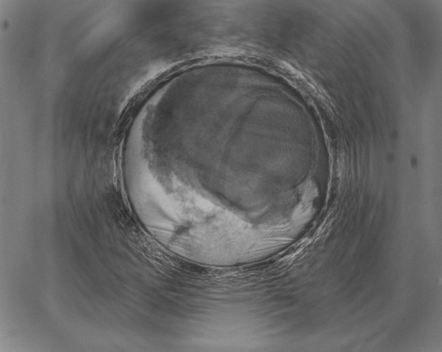 X0000067351262200604131742