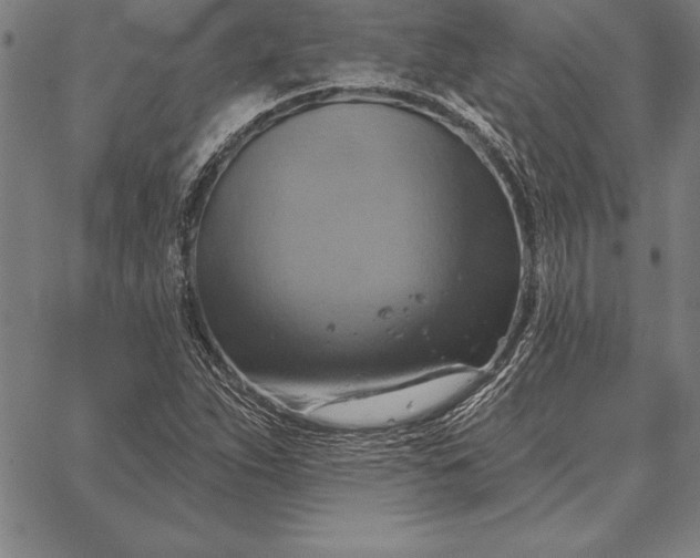 X0000067351263200604131742