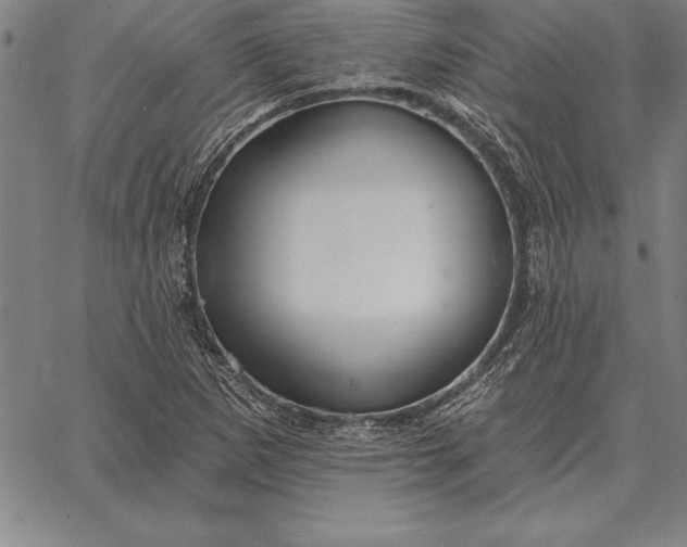 X0000067351265200604131742