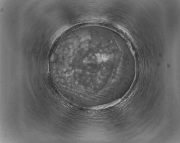 X0000067351267200604131742